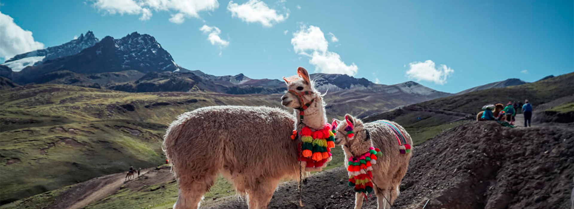 Cusco Highlights