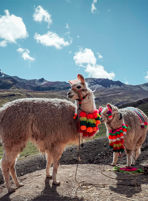 Cusco Highlights