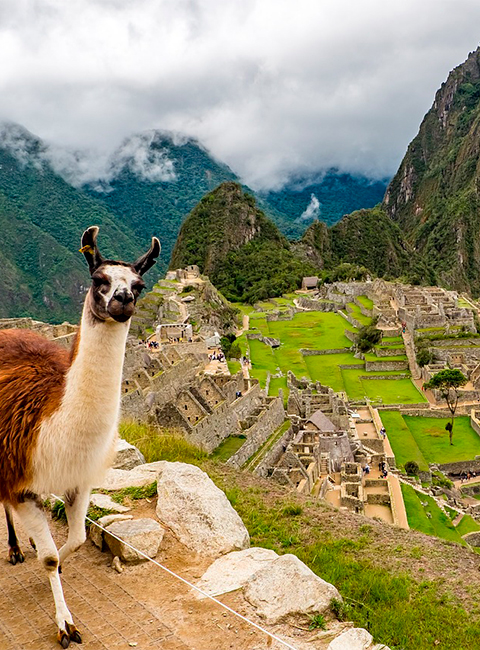 Machupicchu Full Day