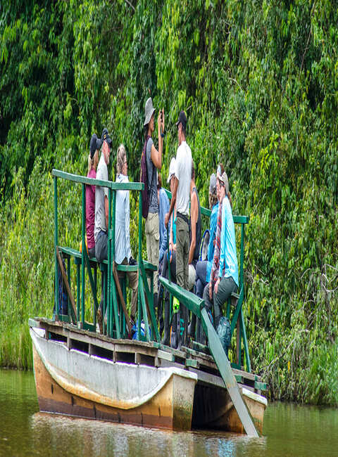 RESERVA NACIONAL DE TAMBOPATA; EXPLORADOR amazónico 4 días / 3 noches